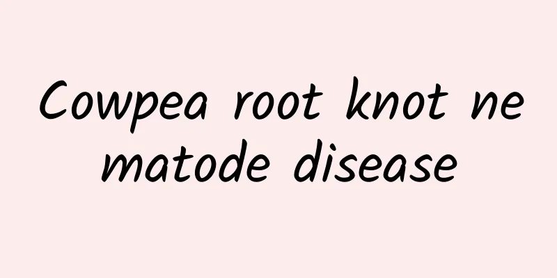 Cowpea root knot nematode disease