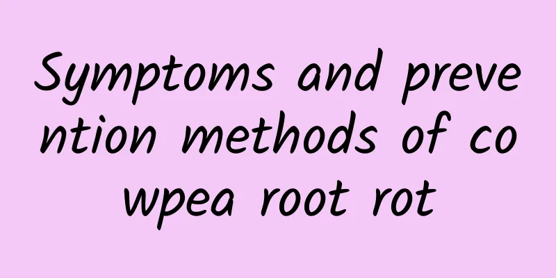 Symptoms and prevention methods of cowpea root rot