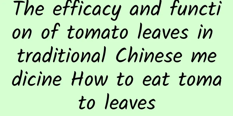 The efficacy and function of tomato leaves in traditional Chinese medicine How to eat tomato leaves