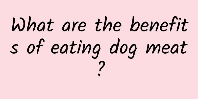 What are the benefits of eating dog meat?