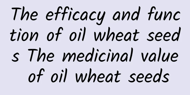 The efficacy and function of oil wheat seeds The medicinal value of oil wheat seeds