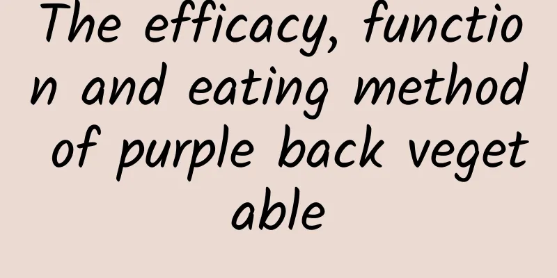 The efficacy, function and eating method of purple back vegetable