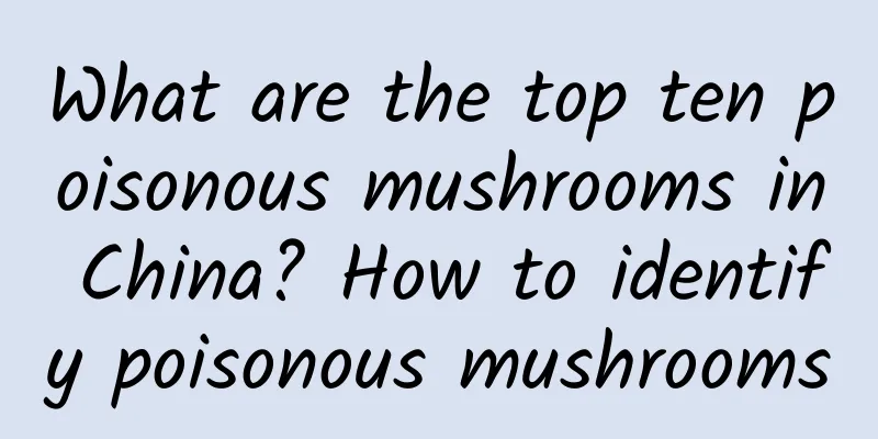 What are the top ten poisonous mushrooms in China? How to identify poisonous mushrooms