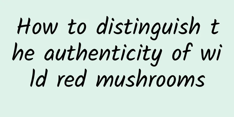 How to distinguish the authenticity of wild red mushrooms