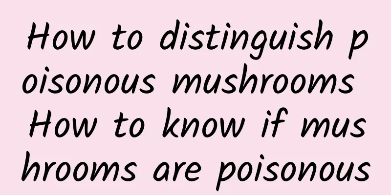 How to distinguish poisonous mushrooms How to know if mushrooms are poisonous