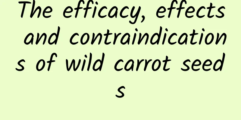 The efficacy, effects and contraindications of wild carrot seeds