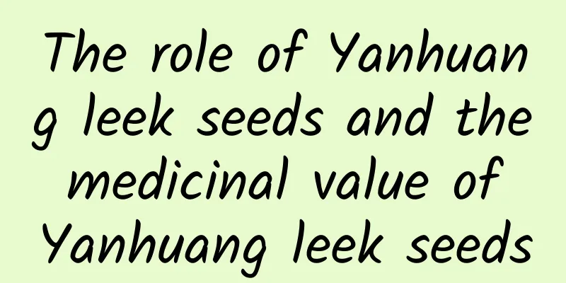 The role of Yanhuang leek seeds and the medicinal value of Yanhuang leek seeds