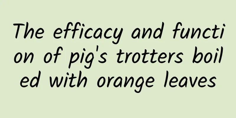 The efficacy and function of pig's trotters boiled with orange leaves