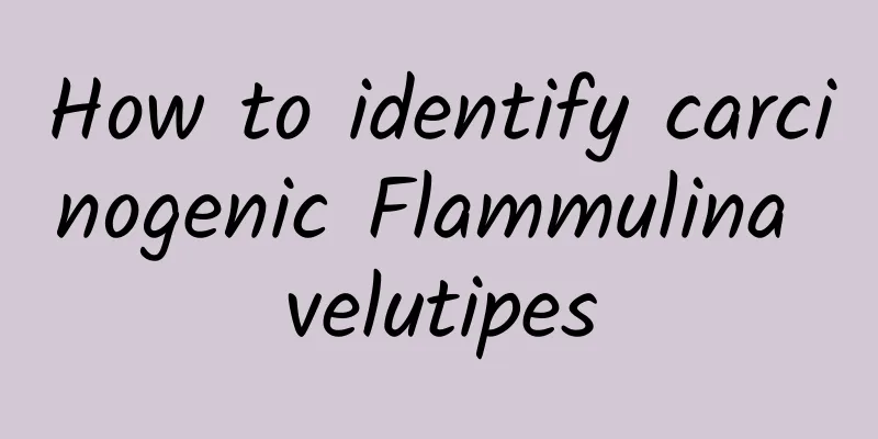 How to identify carcinogenic Flammulina velutipes