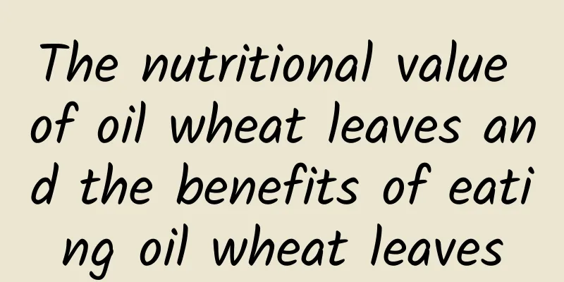 The nutritional value of oil wheat leaves and the benefits of eating oil wheat leaves