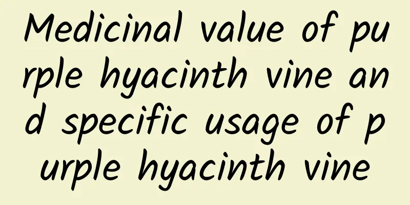 Medicinal value of purple hyacinth vine and specific usage of purple hyacinth vine