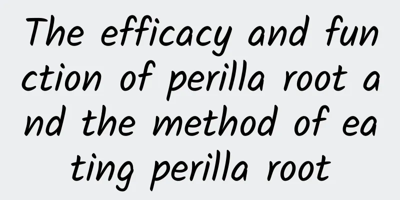 The efficacy and function of perilla root and the method of eating perilla root