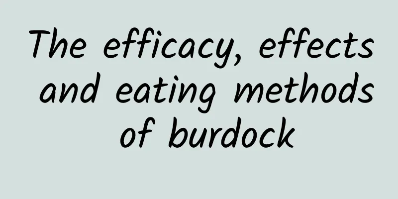 The efficacy, effects and eating methods of burdock