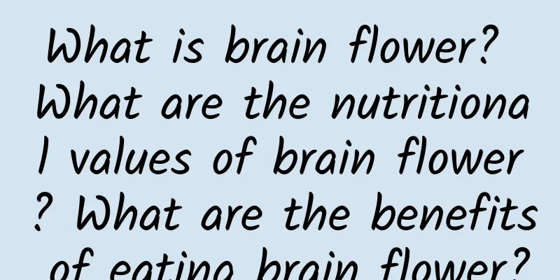 What is brain flower? What are the nutritional values ​​of brain flower? What are the benefits of eating brain flower?