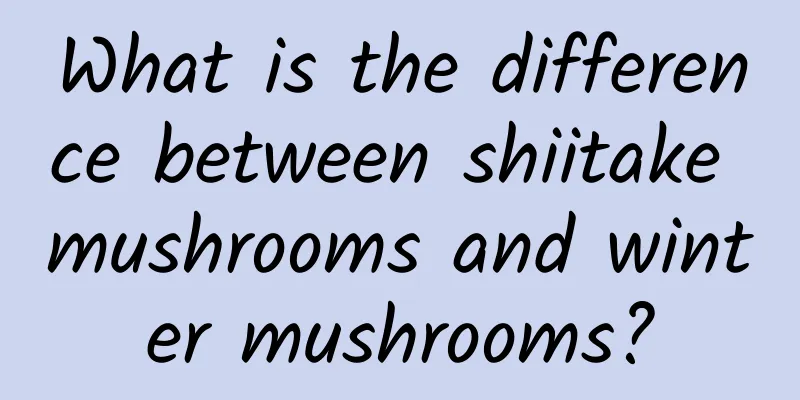 What is the difference between shiitake mushrooms and winter mushrooms?