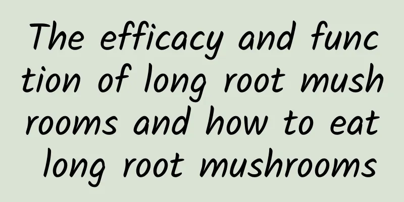 The efficacy and function of long root mushrooms and how to eat long root mushrooms