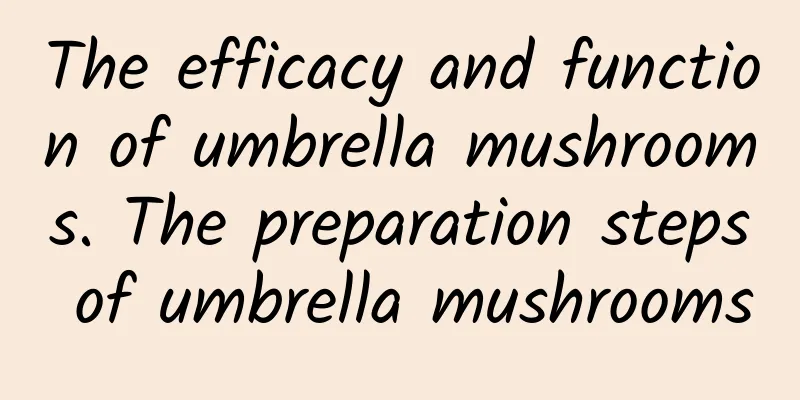 The efficacy and function of umbrella mushrooms. The preparation steps of umbrella mushrooms