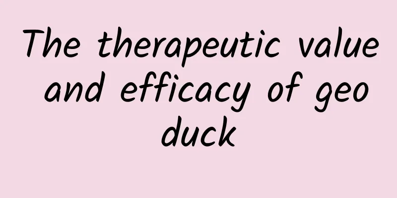 The therapeutic value and efficacy of geoduck