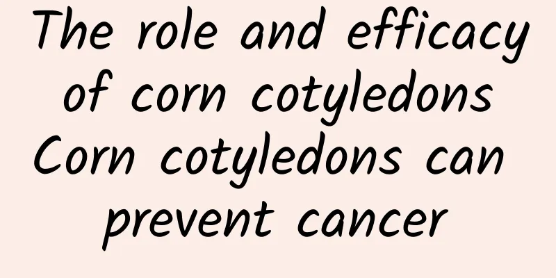 The role and efficacy of corn cotyledons Corn cotyledons can prevent cancer