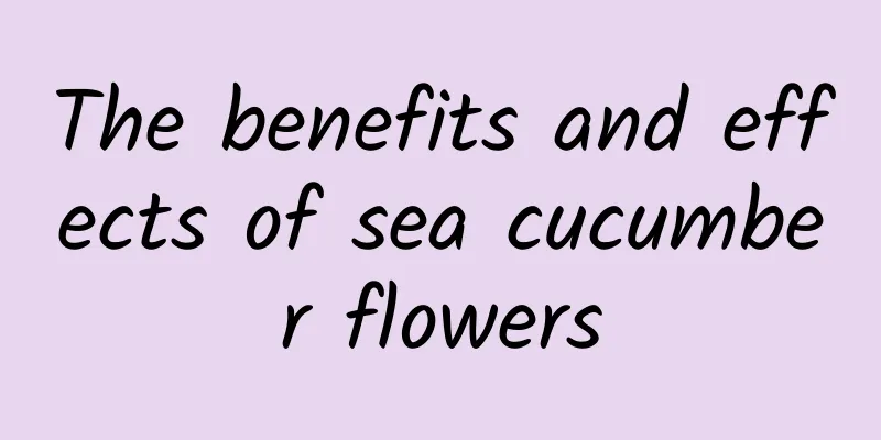 The benefits and effects of sea cucumber flowers