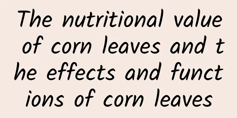 The nutritional value of corn leaves and the effects and functions of corn leaves