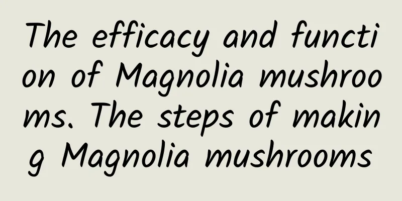 The efficacy and function of Magnolia mushrooms. The steps of making Magnolia mushrooms