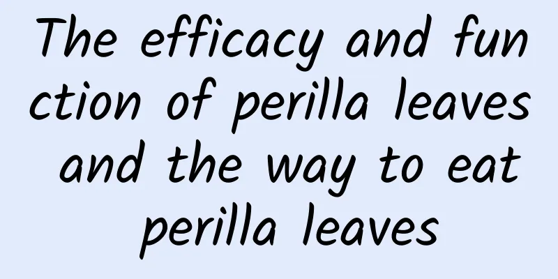 The efficacy and function of perilla leaves and the way to eat perilla leaves