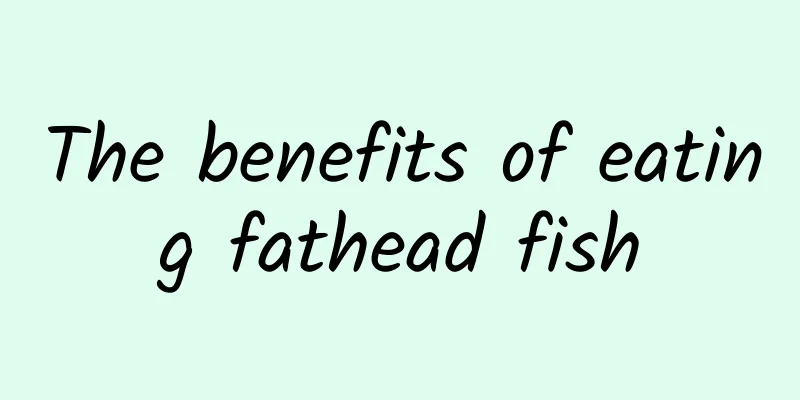 The benefits of eating fathead fish