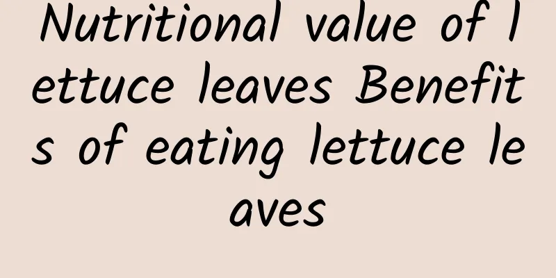 Nutritional value of lettuce leaves Benefits of eating lettuce leaves