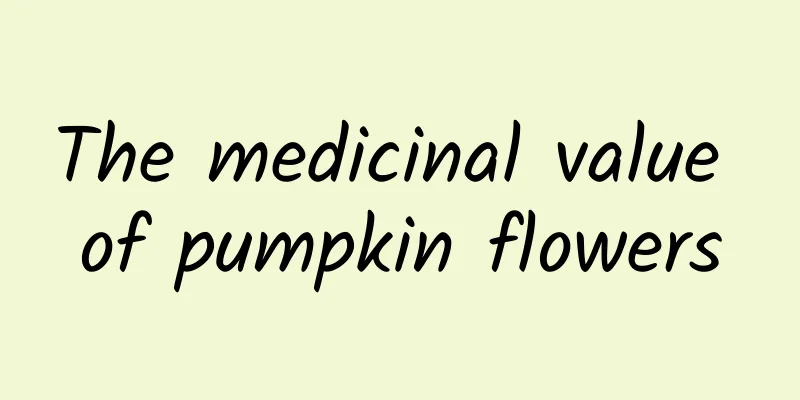 The medicinal value of pumpkin flowers