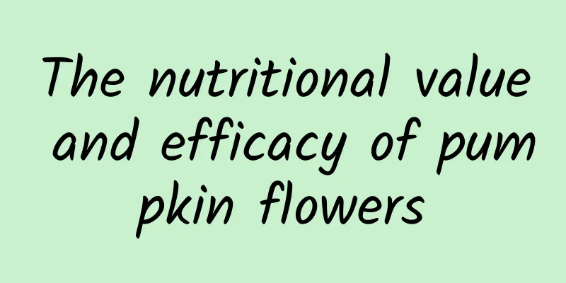 The nutritional value and efficacy of pumpkin flowers