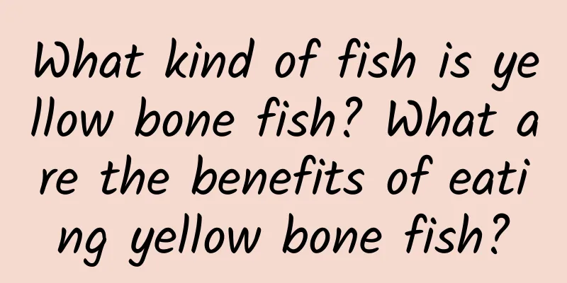 What kind of fish is yellow bone fish? What are the benefits of eating yellow bone fish?