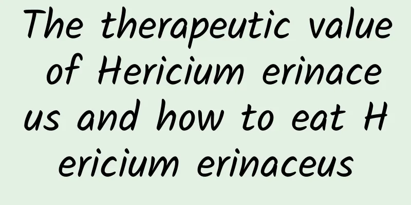 The therapeutic value of Hericium erinaceus and how to eat Hericium erinaceus