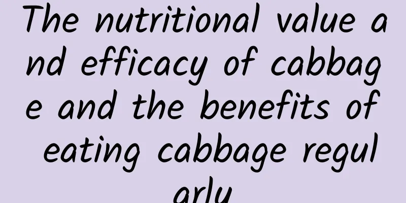 The nutritional value and efficacy of cabbage and the benefits of eating cabbage regularly