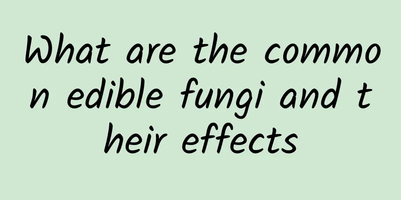 What are the common edible fungi and their effects