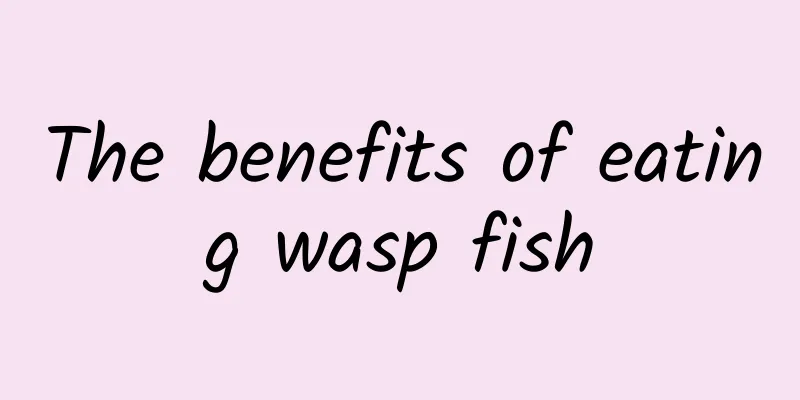 The benefits of eating wasp fish