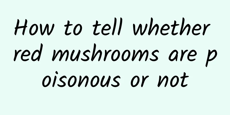 How to tell whether red mushrooms are poisonous or not