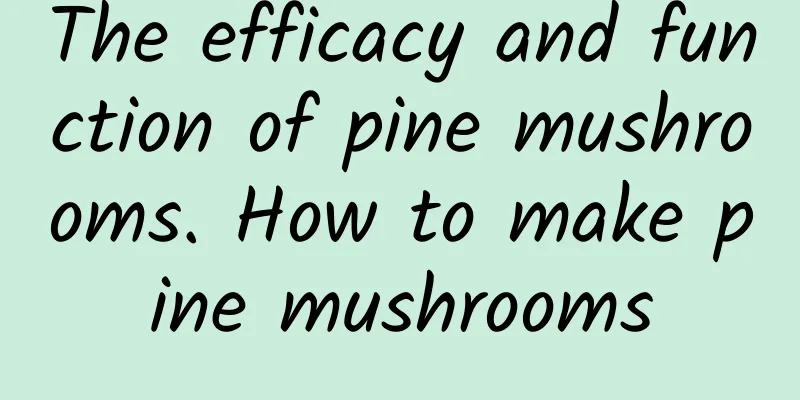 The efficacy and function of pine mushrooms. How to make pine mushrooms