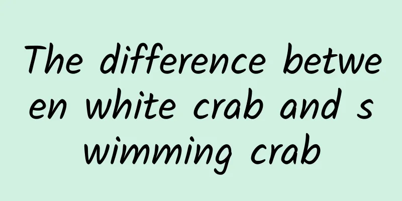 The difference between white crab and swimming crab