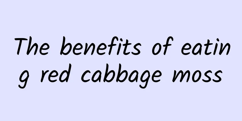 The benefits of eating red cabbage moss