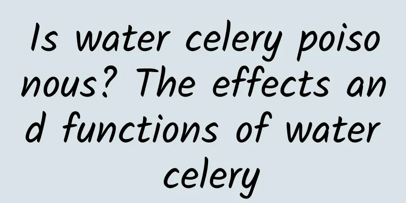 Is water celery poisonous? The effects and functions of water celery