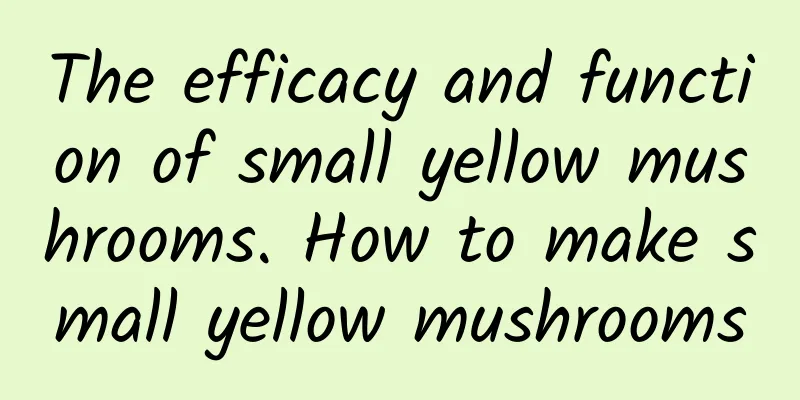 The efficacy and function of small yellow mushrooms. How to make small yellow mushrooms