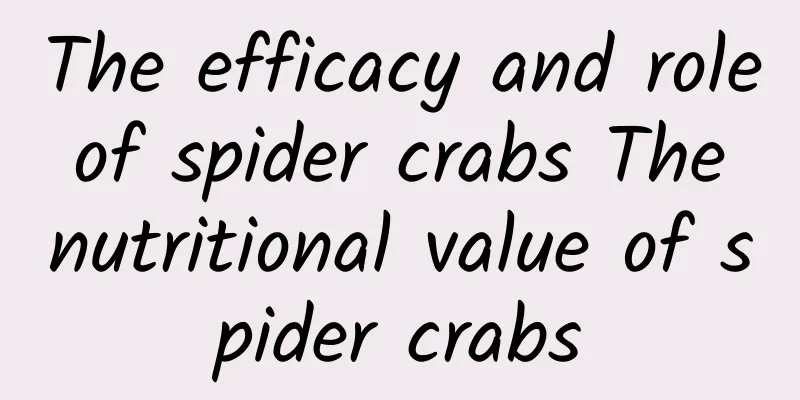 The efficacy and role of spider crabs The nutritional value of spider crabs