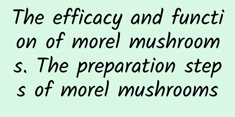 The efficacy and function of morel mushrooms. The preparation steps of morel mushrooms