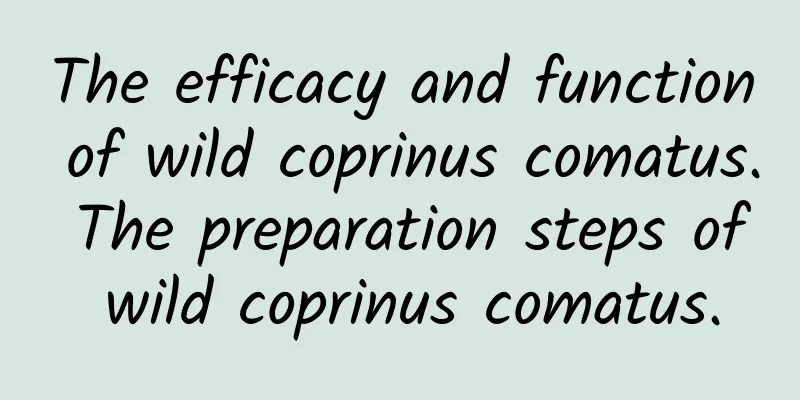 The efficacy and function of wild coprinus comatus. The preparation steps of wild coprinus comatus.