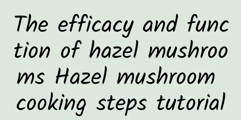 The efficacy and function of hazel mushrooms Hazel mushroom cooking steps tutorial