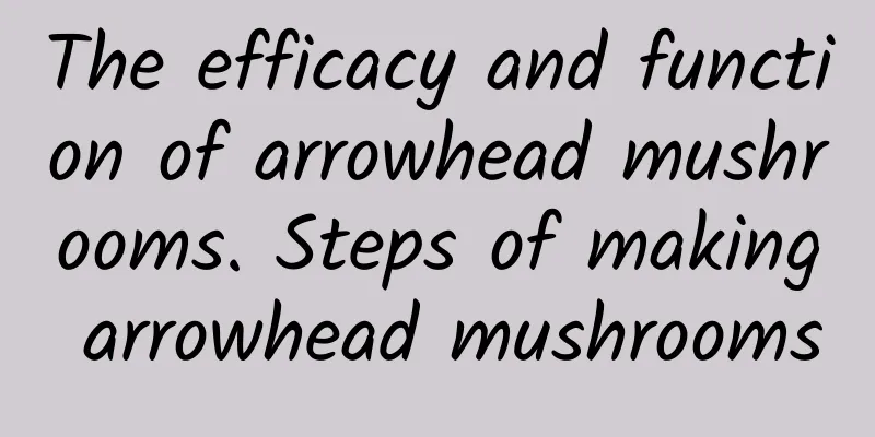 The efficacy and function of arrowhead mushrooms. Steps of making arrowhead mushrooms