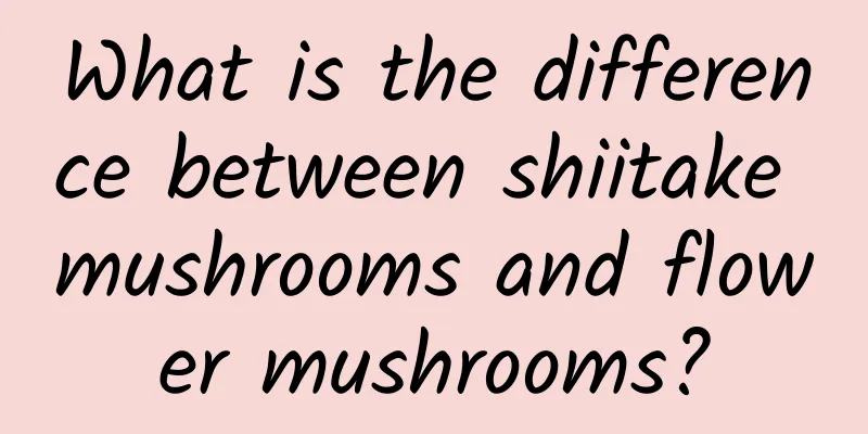 What is the difference between shiitake mushrooms and flower mushrooms?