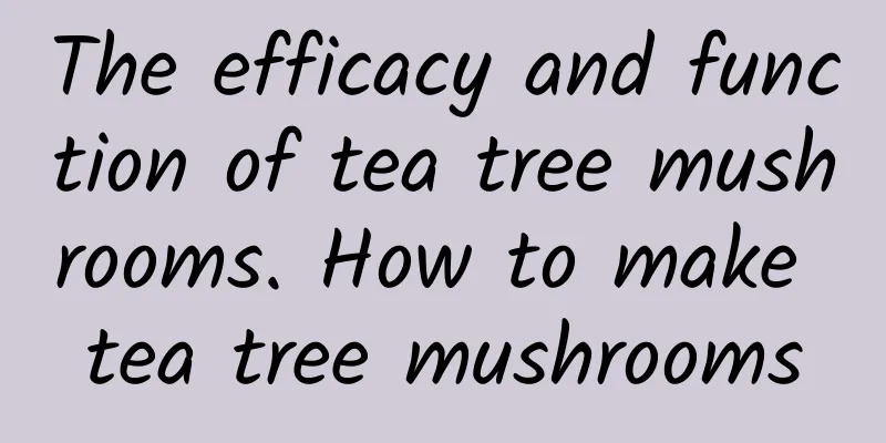 The efficacy and function of tea tree mushrooms. How to make tea tree mushrooms