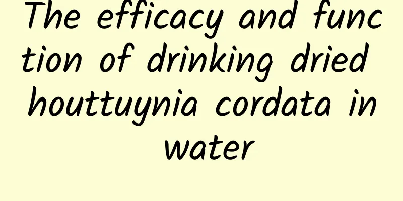 The efficacy and function of drinking dried houttuynia cordata in water